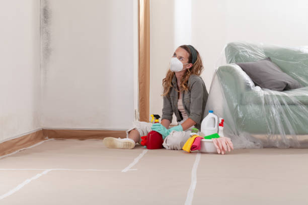 Reliable Mold Remediation contractor in North Arlington, NJ by Cheap Mold Removal